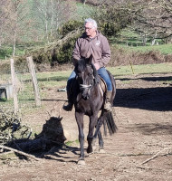Vente de cheval : Ganasche 