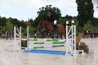 Vente de cheval : Chanel de la Cuvileri