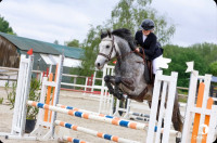 Vente de poney