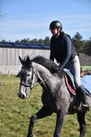 Vente de cheval : Josefa de Donostia