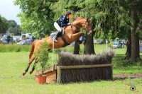 Vente de cheval : Doris day km 