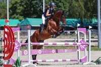 Vente de cheval : Jacomo 