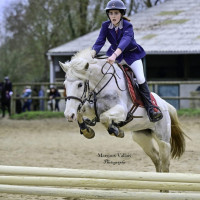 Vente de cheval : Divine