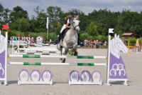 Vente de poney