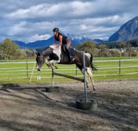 Cheval ?