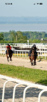 Formation Au Galop Vers L'Emploi