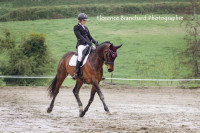 Vente de cheval : Hashtag de l'Orgris