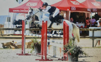 Vente de poney