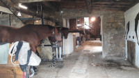 Location Ecuries de propri�taires