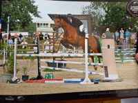 Vente de cheval : Accord