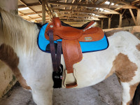 Vente de selle 281