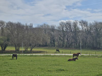 Pension de propri�taires