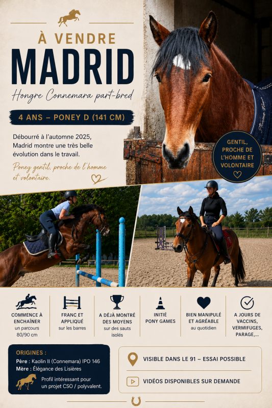 Vente de poney