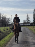 Vente de cheval : LUDIVINE PARIS