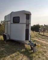 Vans chevaux