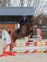 Vente de cheval : Paloma Van de Mugg