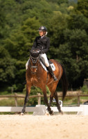 Vente de cheval : Hashtag de l'Orgris