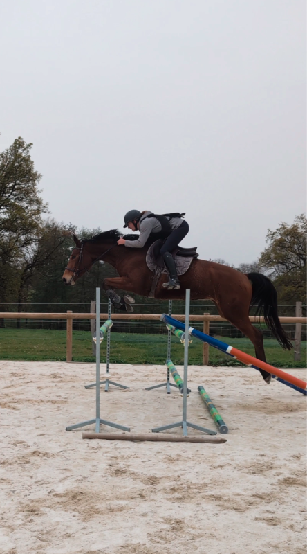 Vente de cheval : Je suis De lavalledei 