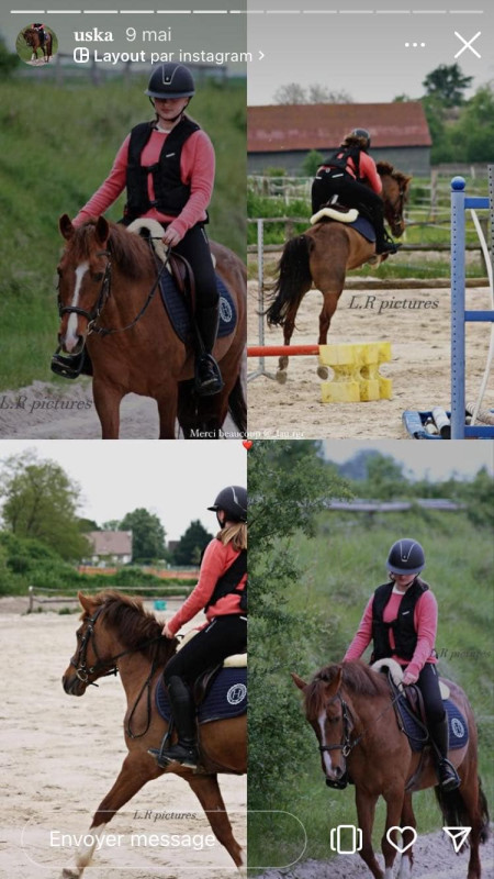 Vente de poney