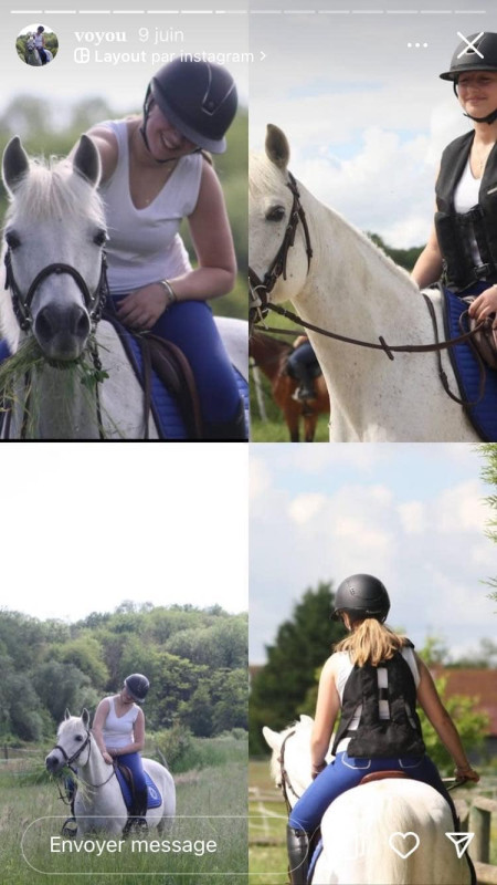 Vente de poney