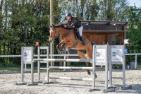 Vente de cheval : Je Suis delavalledei
