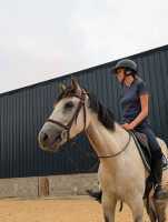 Vente de cheval : Aria 