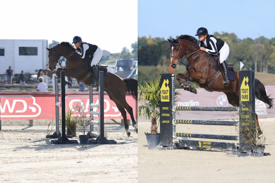 Vente de cheval : Emile Malpic