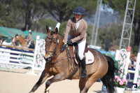 Vente de cheval : Canisse du Motet