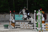 Vente de poney