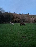 Pension de propri�taires