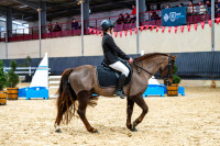 Vente de poney
