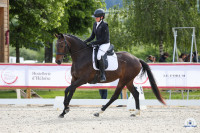 Vente de cheval : Jo Joyfull MS
