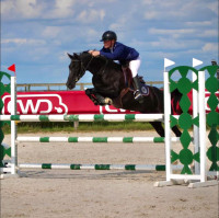 Vente de poney