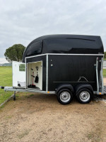 Vans chevaux