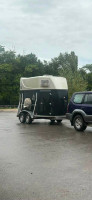 Vans chevaux