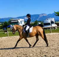 Vente de cheval : Championne du Coussoul