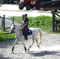 Vente de cheval : Velours du mas