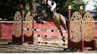 Cours d �quitation 