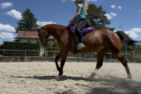 Vente de cheval : Anais