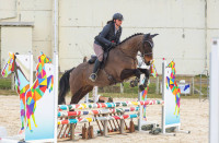 Vente de cheval : LORD DU BEAUCHATEL