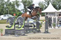 Vente de cheval : Gaillard st nicolas