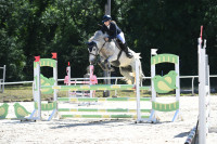 Vente de poney