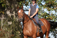 Vente de cheval : Milady Tricoti�re