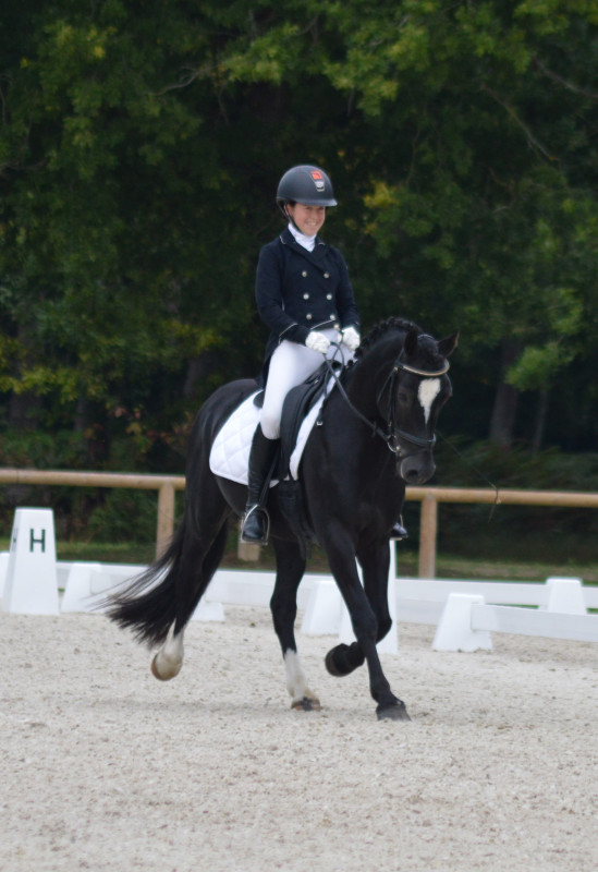 Vente de poney