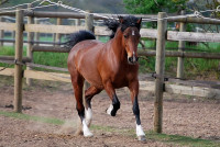 Pension de propri�taires