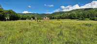 Location Fermes �questres