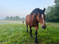 Pension de propri�taires