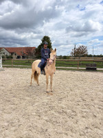 Vente de cheval : LOMBARDO VI 