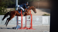 Vente de cheval : Landeck d'Elp�g�re