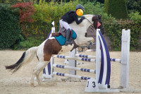 Vente de cheval : Farwest de Luz